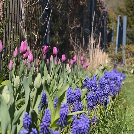 Semesterbostad Niebieskie Drzwi Kopalino