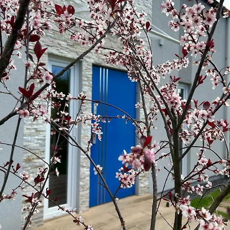 Niebieskie Drzwi Tatil Evi Kopalino