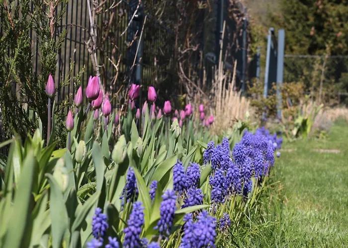 度假居 Niebieskie Drzwi 科帕利诺