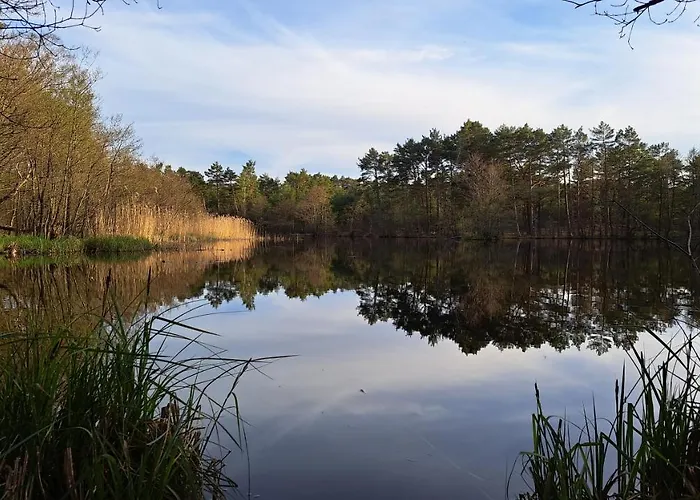 度假居 Niebieskie Drzwi *